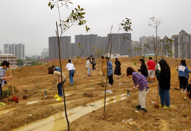 1523590041732083769.png 11.png