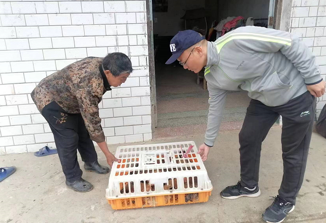 1669601828900000484.png 2.png