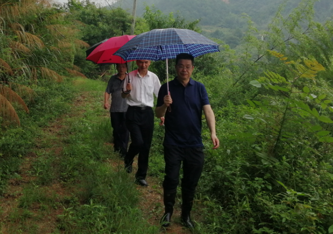 1594278938462071946.png 1.png