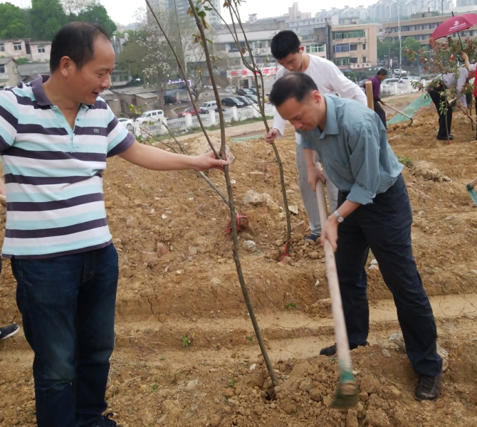 1523590159139000410.png 222.png