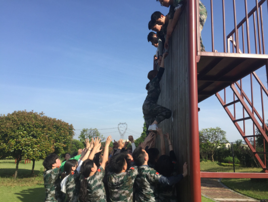 1511419687053055718.png 1493684900592.png