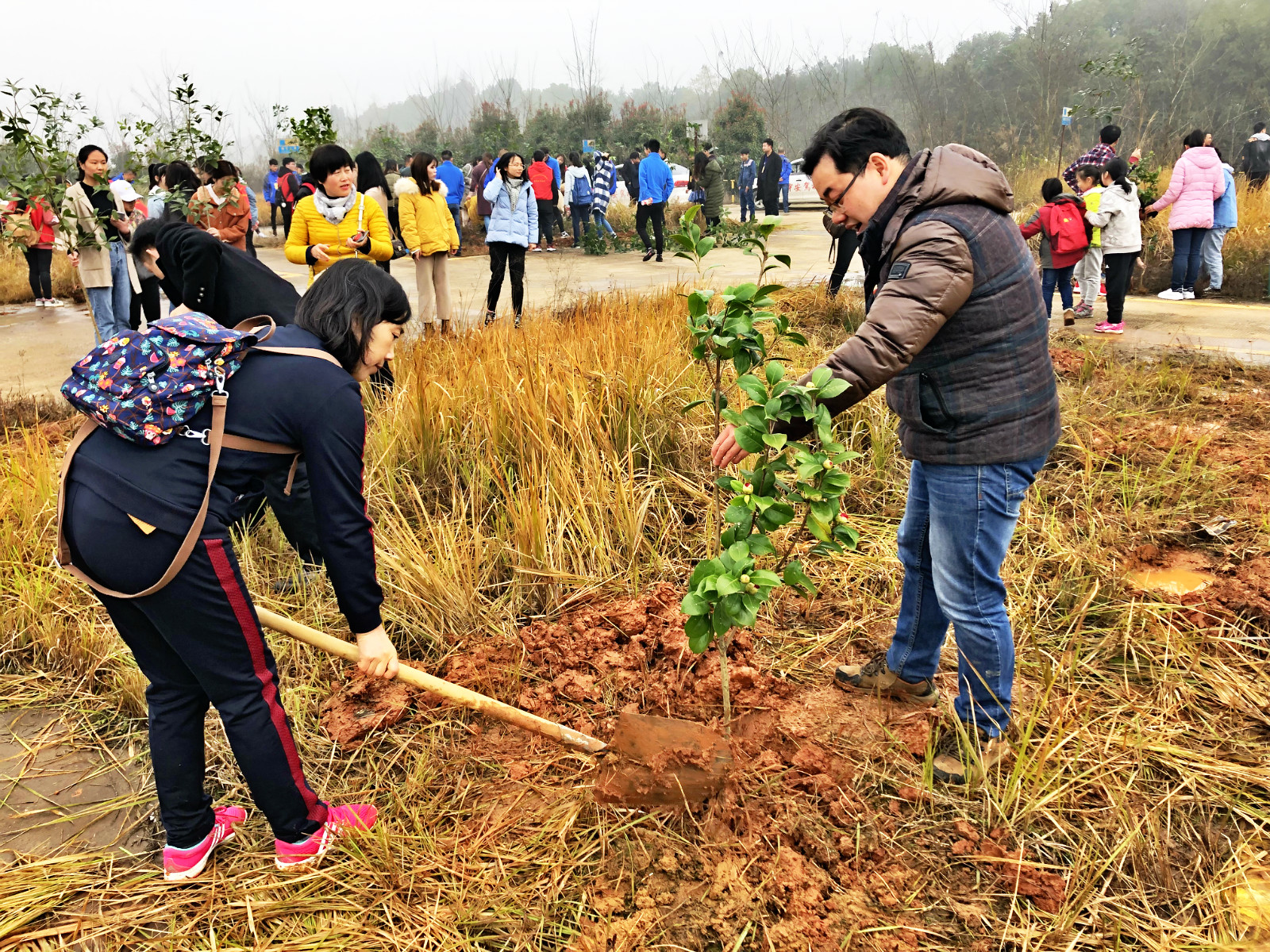 会计学院行政党支部开展义务植树主题党日活动
