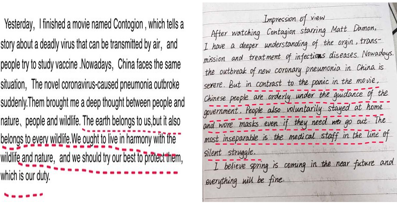 1585713253696075723.png 5.png