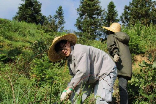 1690425884952011985.jpg LOCAL1690340513868H4CGBNCBFM.jpg