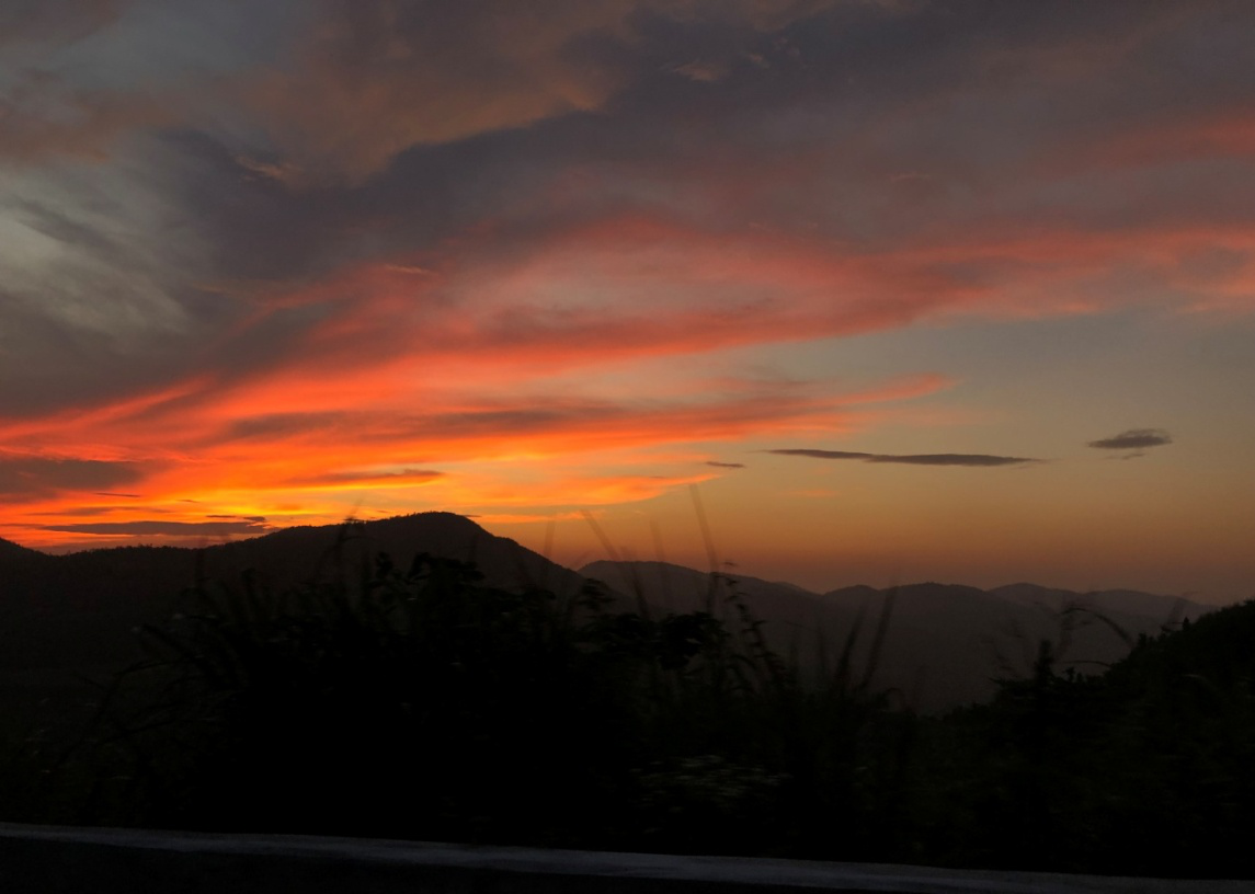 1564566426427073642.png 图片11.png