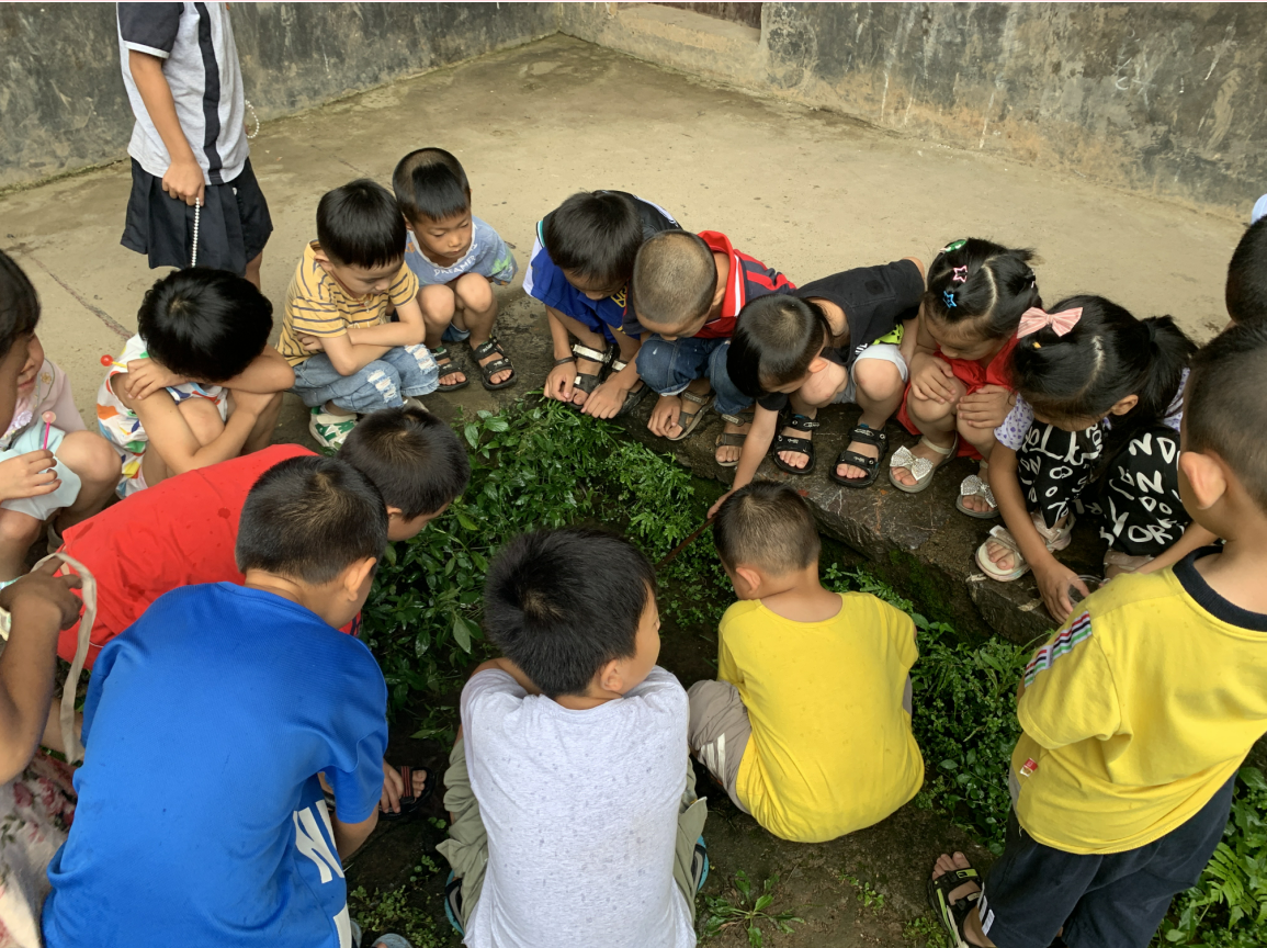 1658287054491001772.png 5.png